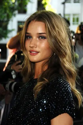 Rosie Huntington-Whiteley Wall Poster picture 110345