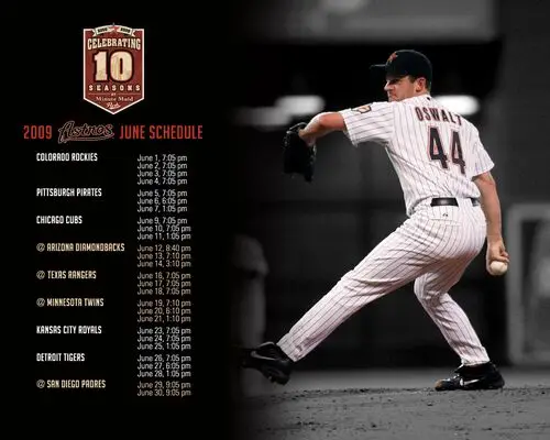 Roy Oswalt Wall Poster picture 59161