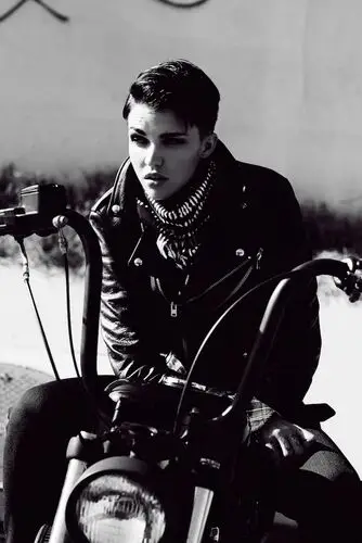 Ruby Rose Wall Poster picture 552707