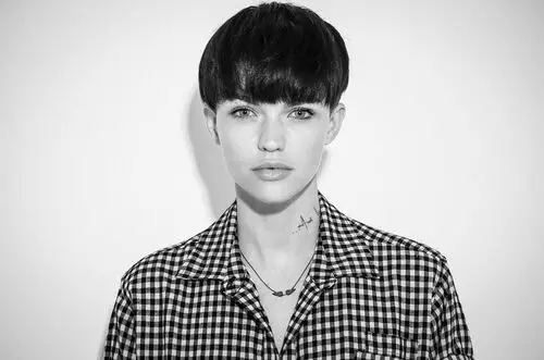 Ruby Rose Wall Poster picture 552715