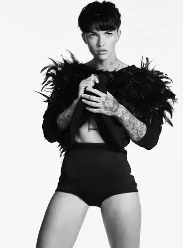 Ruby Rose Jigsaw Puzzle picture 552731