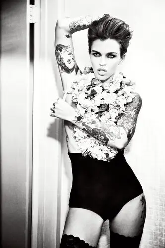 Ruby Rose Wall Poster picture 848416