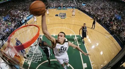 Rudy Gobert Wall Poster picture 712016