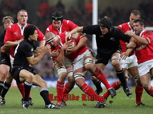 Rugby Jigsaw Puzzle picture 223725