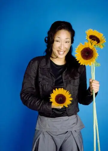 Sandra Oh Wall Poster picture 385466
