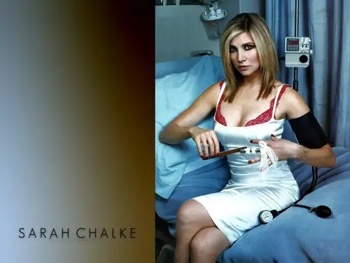 Sarah Chalke Wall Poster picture 176366