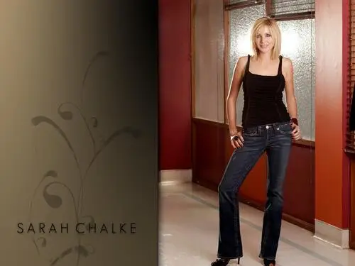 Sarah Chalke Wall Poster picture 176374