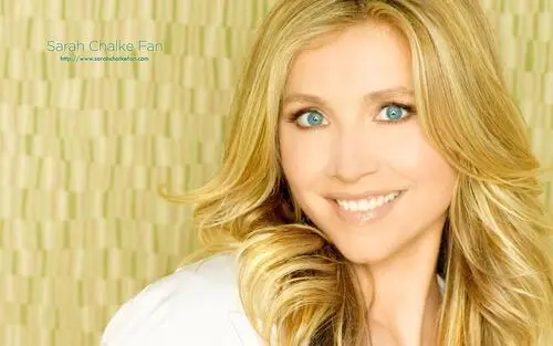 Sarah Chalke Wall Poster picture 93028