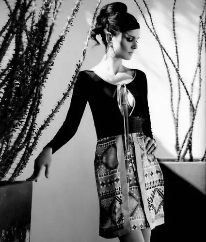 Sarah Wayne Callies Fridge Magnet picture 194869