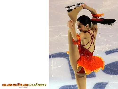 Sasha Cohen Wall Poster picture 176720