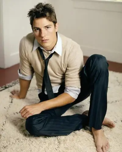 Sean Faris Wall Poster picture 18627