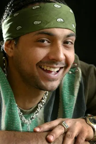 Sean Paul Wall Poster picture 495523