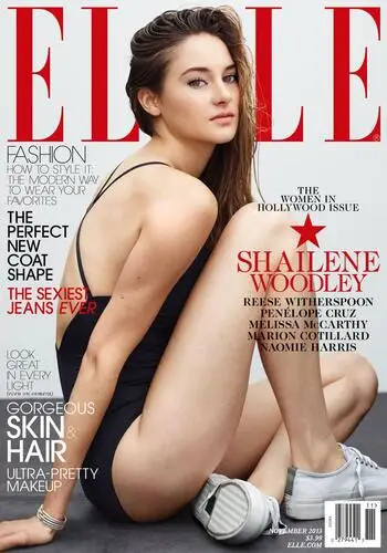 Shailene Woodley Wall Poster picture 262253