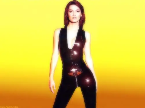 Shania Twain Wall Poster picture 177229