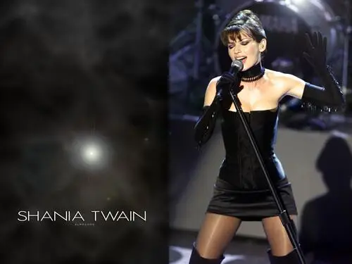 Shania Twain Jigsaw Puzzle picture 177246