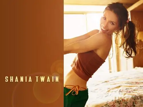 Shania Twain White T-Shirt - idPoster.com