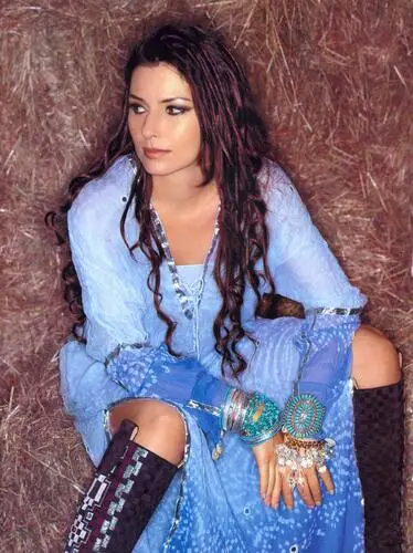 Shania Twain Wall Poster picture 388813