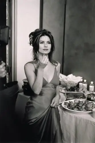 Shania Twain Wall Poster picture 388822