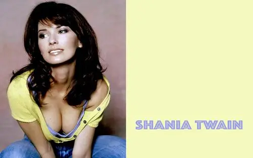 Shania Twain White T-Shirt - idPoster.com