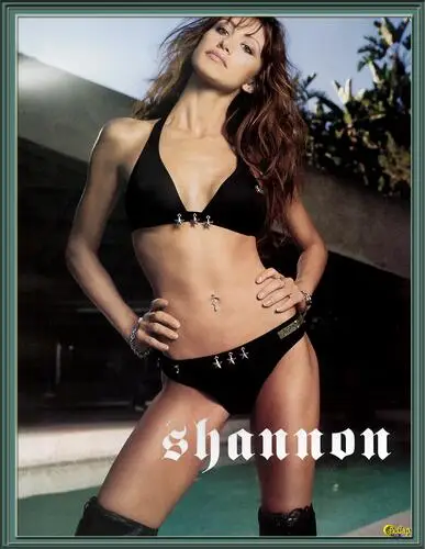 Shannon Elizabeth Wall Poster picture 47928