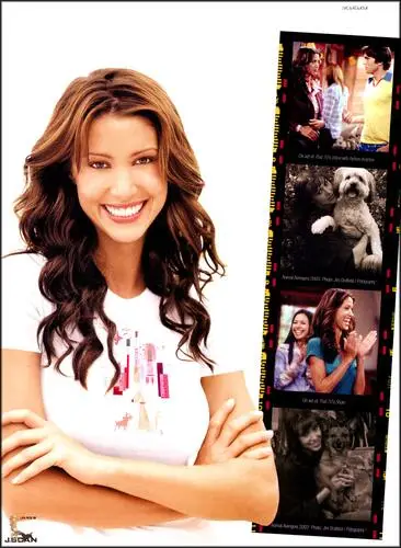 Shannon Elizabeth Wall Poster picture 47957