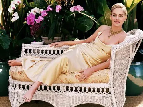 Sharon Stone Jigsaw Puzzle picture 177316