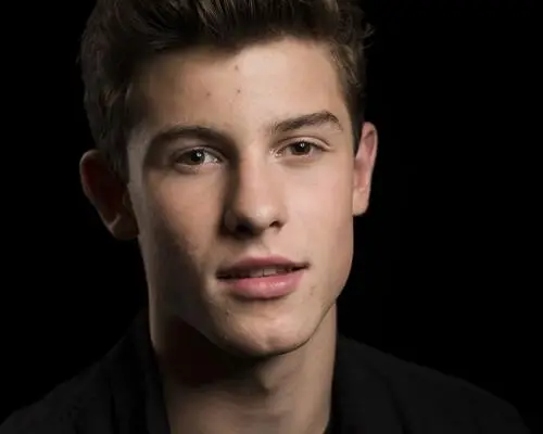 Shawn Mendes Wall Poster picture 808463