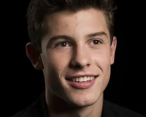Shawn Mendes Wall Poster picture 808464