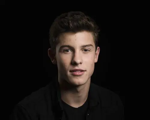 Shawn Mendes Men's Colored Hoodie - idPoster.com
