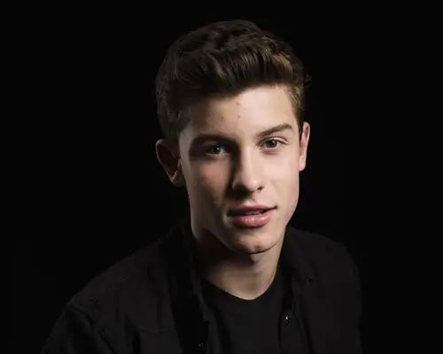 Shawn Mendes Wall Poster picture 808469