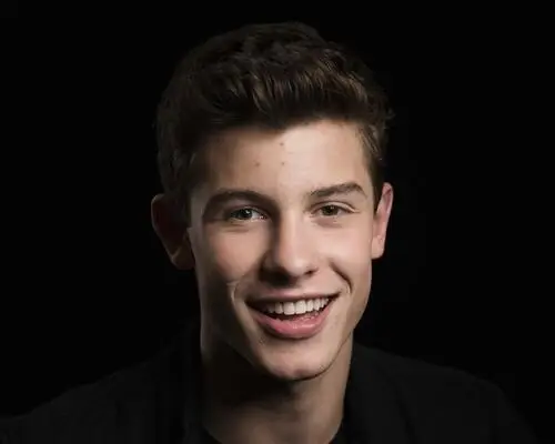 Shawn Mendes Jigsaw Puzzle picture 808471