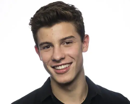 Shawn Mendes Wall Poster picture 808473