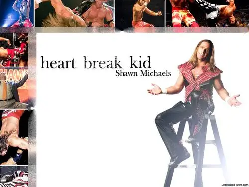 Shawn Michaels Wall Poster picture 103006