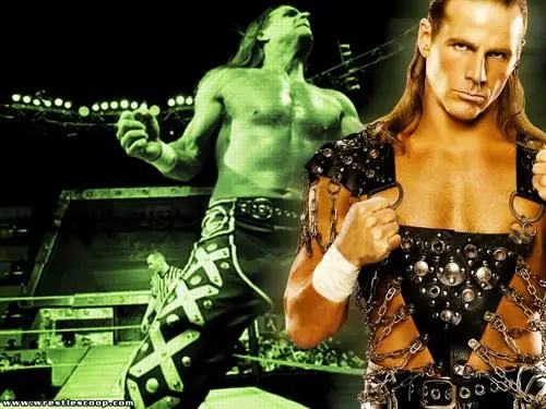 Shawn Michaels Jigsaw Puzzle picture 103008