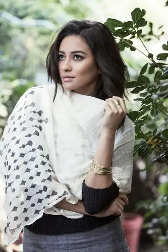 Shay Mitchell Wall Poster picture 550511