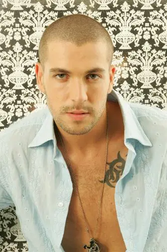 Shayne Ward Wall Poster picture 514553
