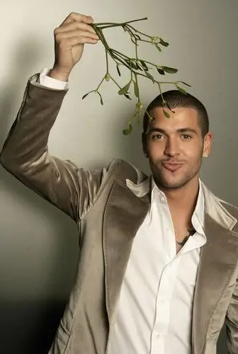 Shayne Ward Wall Poster picture 514558