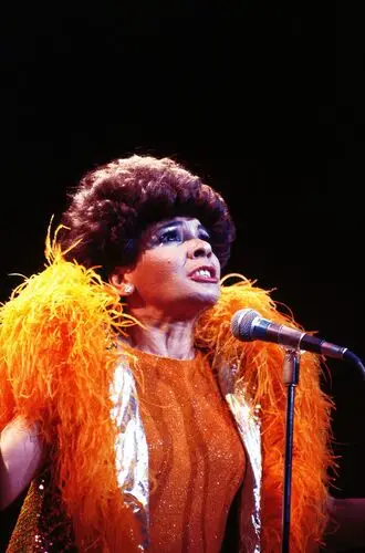 Shirley Bassey Wall Poster picture 957112