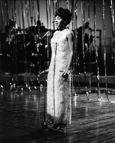 Shirley Bassey Wall Poster picture 957124