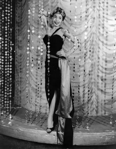 Shirley Bassey Wall Poster picture 957134