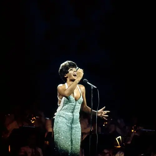 Shirley Bassey Wall Poster picture 957137