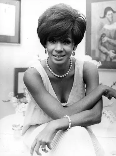 Shirley Bassey Wall Poster picture 957139