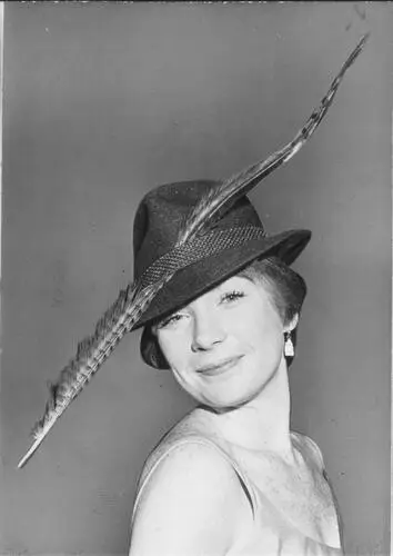 Shirley MacLaine Wall Poster picture 262625