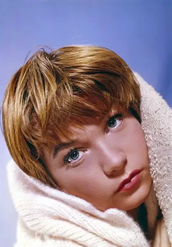 Shirley MacLaine Wall Poster picture 262626