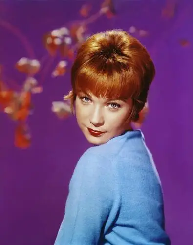 Shirley MacLaine Wall Poster picture 262635
