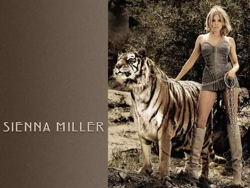 Sienna Miller White Tank-Top - idPoster.com
