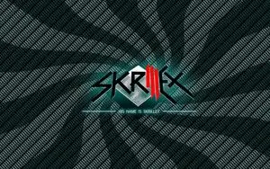 Skrillex posters and prints