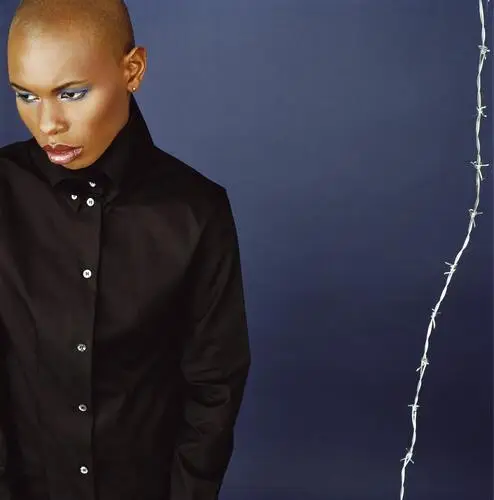Skunk Anansie Wall Poster picture 526072