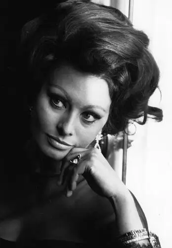 Sophia Loren Wall Poster picture 19536