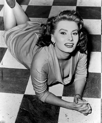 Sophia Loren Wall Poster picture 48313